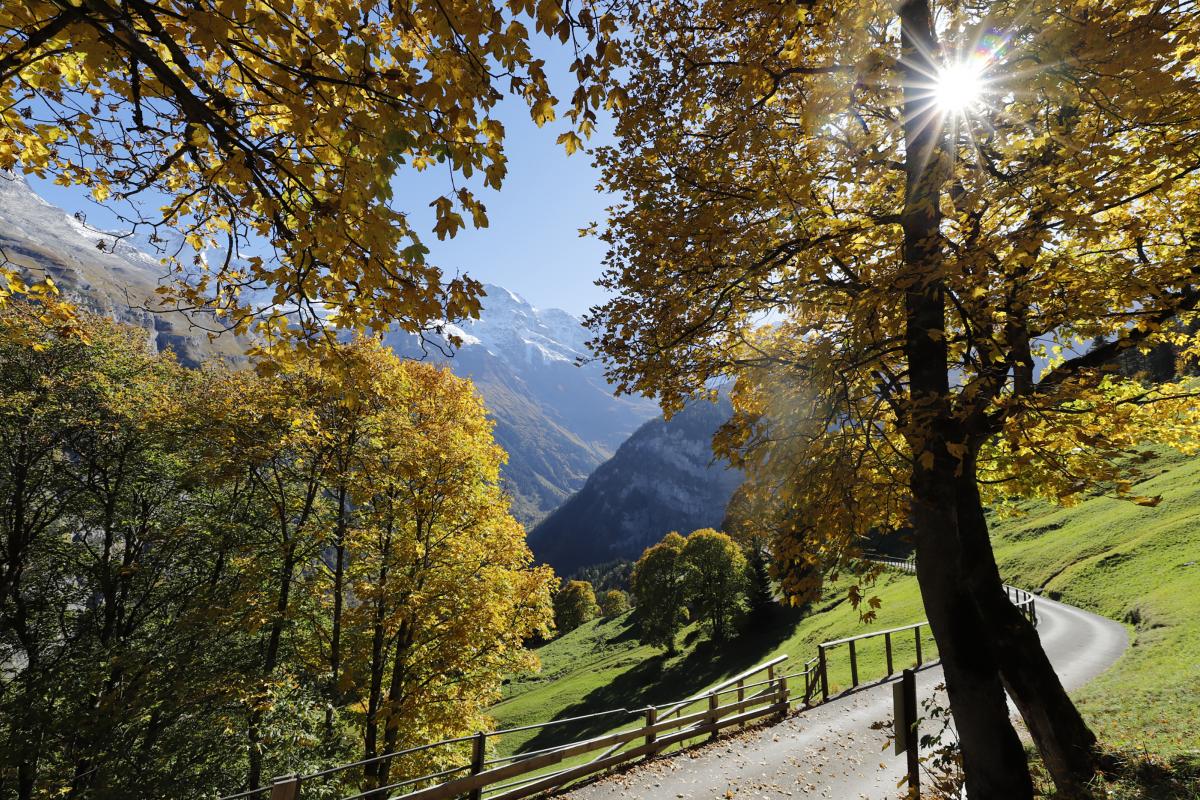 Gimmelwald_MG_1315_webalbum_2